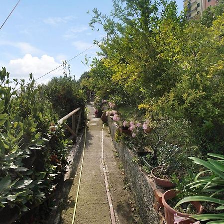 Villa Lardarina กอร์นิญา ภายนอก รูปภาพ