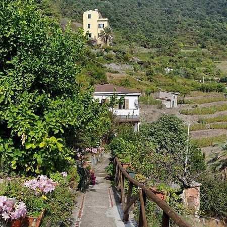 Villa Lardarina กอร์นิญา ภายนอก รูปภาพ