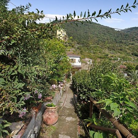 Villa Lardarina กอร์นิญา ภายนอก รูปภาพ