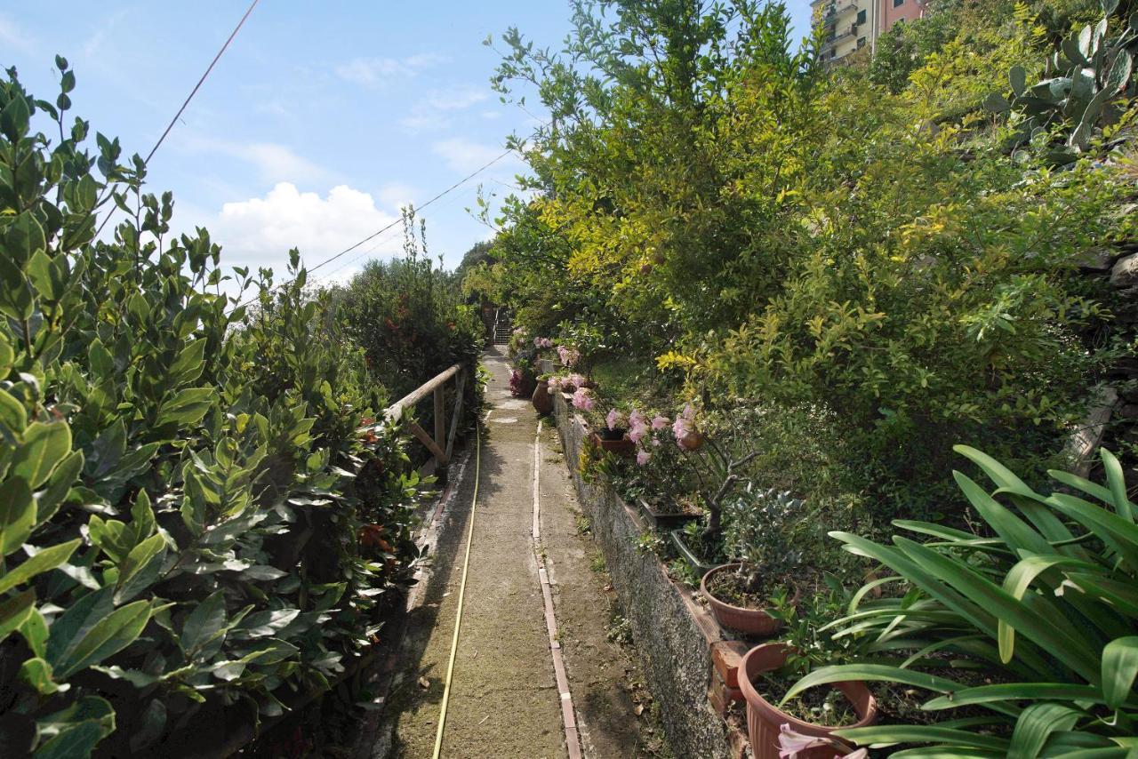 Villa Lardarina กอร์นิญา ภายนอก รูปภาพ