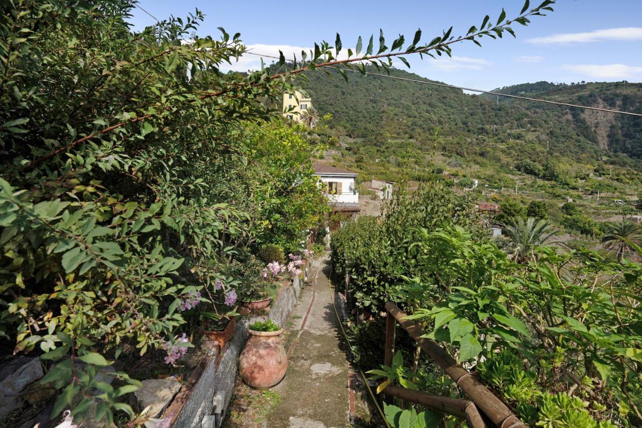Villa Lardarina กอร์นิญา ภายนอก รูปภาพ
